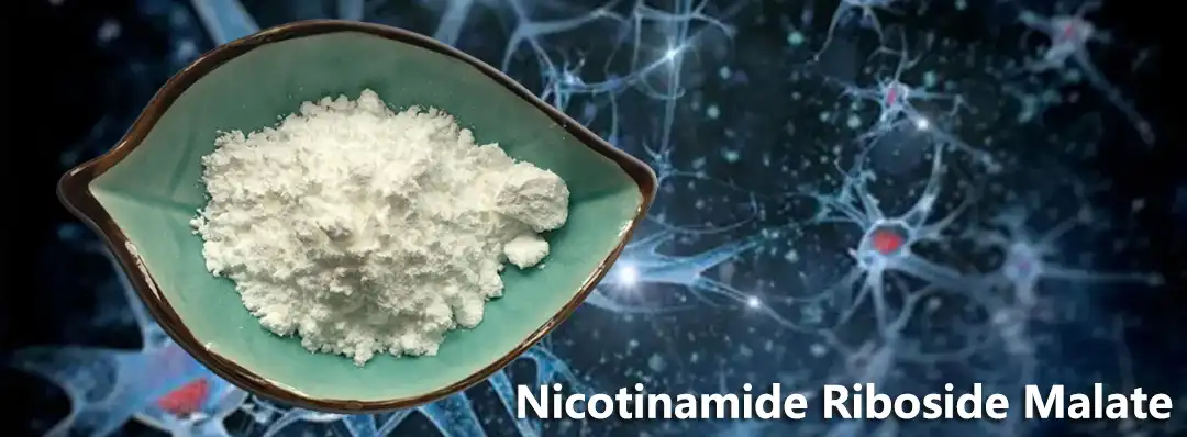 Nicotinamide Riboside Malate Factory.jpg